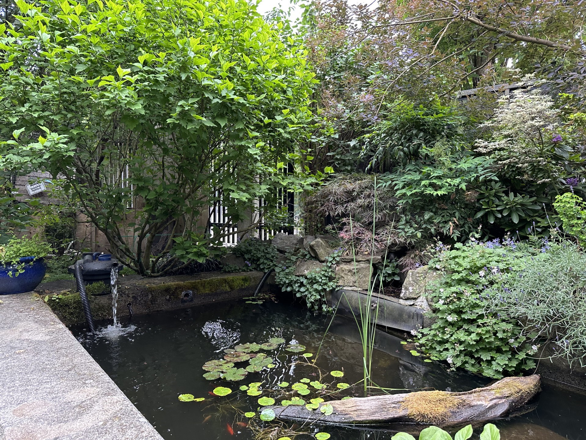 A picture of a garden