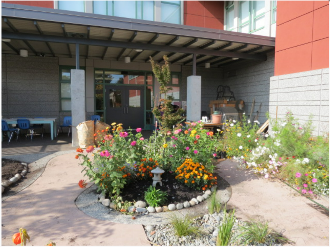 A picture of a garden