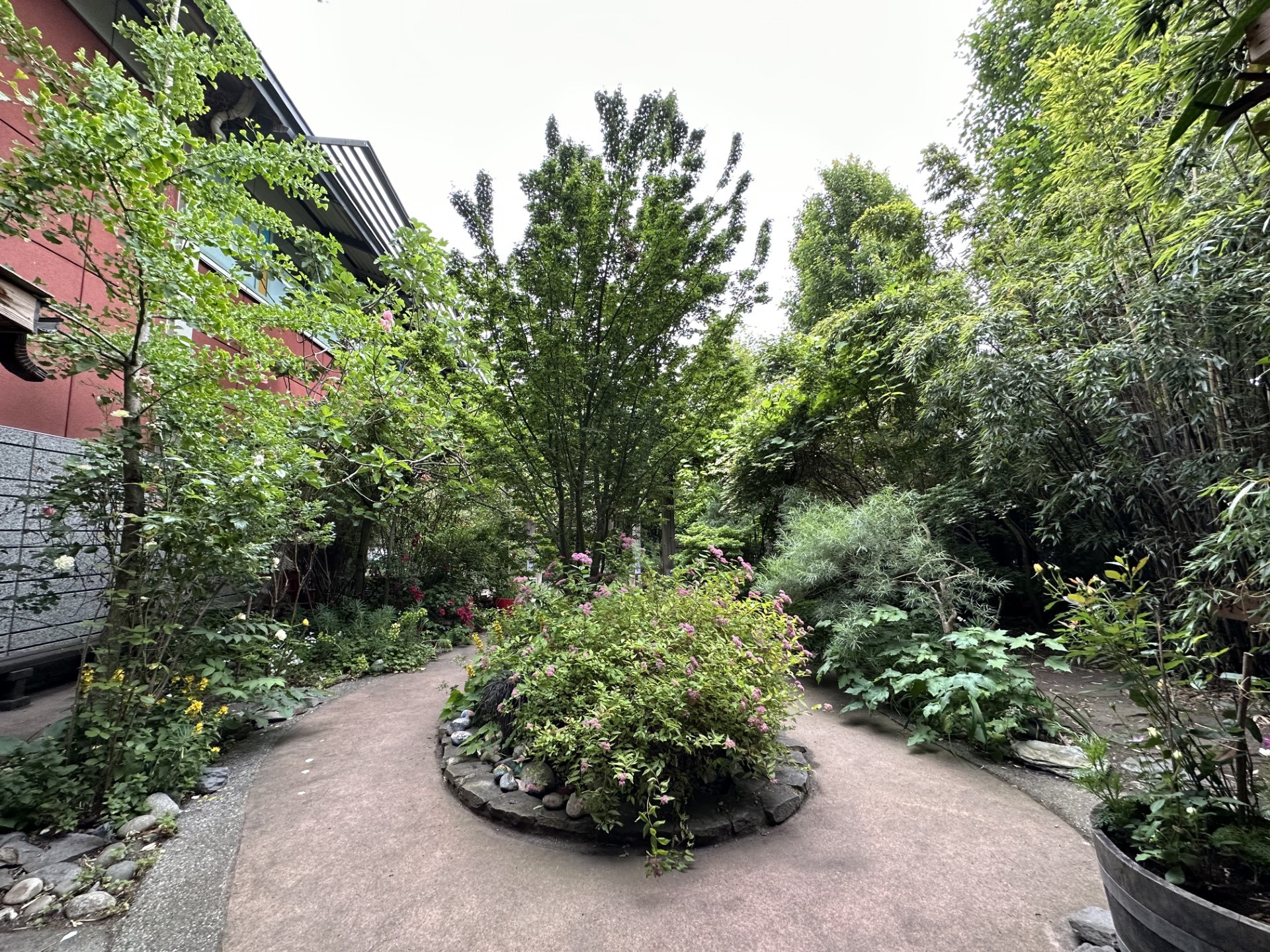 A picture of a garden